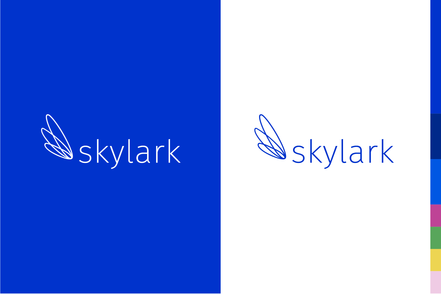 The Skylark Resources, LLC. logo and color palette
